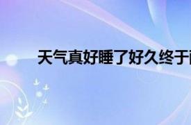 天气真好睡了好久终于醒了什么意思（天气真好）