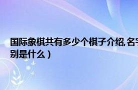 国际象棋共有多少个棋子介绍,名字都叫什么（国际象棋每个棋子的名称分别是什么）