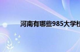 河南有哪些985大学校（河南有哪些985大学）