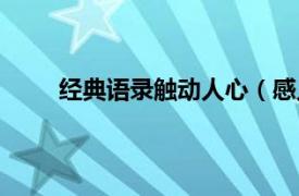 经典语录触动人心（感人语录相关内容简介介绍）