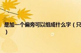 是加一个偏旁可以组成什么字（只加个偏旁能组成什么字相关内容简介介绍）