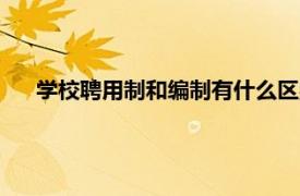 学校聘用制和编制有什么区别（聘用制和编制有什么区别）