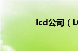 lcd公司（LCD 电子产品）