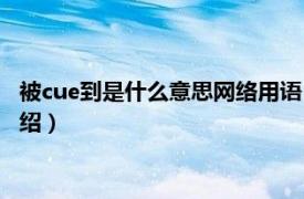 被cue到是什么意思网络用语（被cue到什么意思相关内容简介介绍）