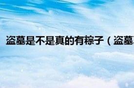 盗墓是不是真的有粽子（盗墓真的有粽子吗相关内容简介介绍）