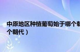 中原地区种植葡萄始于哪个朝代时期（中原地区种植葡萄始于哪个朝代）