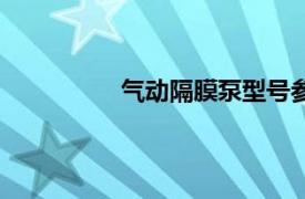 气动隔膜泵型号参数表（气动隔膜泵）