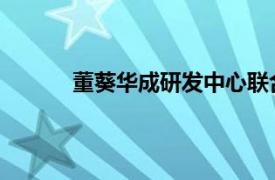 董葵华成研发中心联合创始人；管理咨询公司