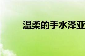 温柔的手水泽亚纪主演了这部电影