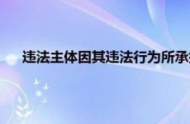 违法主体因其违法行为所承担的法律后果称为（违法主体）