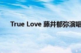 True Love 藤井郁弥演唱歌曲 《爱情白皮书》主题曲