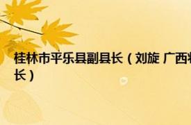 桂林市平乐县副县长（刘旋 广西壮族自治区桂林市平乐县大发瑶族乡副乡长）