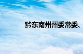 黔东南州州委常委、州人民政府副州长罗丹