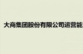 大商集团股份有限公司运营能力分析（大商集团股份有限公司）