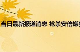 当日最新报道消息 枪杀安倍嫌犯人生被拍成电影 他会被判死刑吗