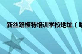 新丝路模特培训学校地址（哈尔滨新丝路职业模特培训学校）