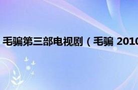 毛骗第三部电视剧（毛骗 2010年李洪绸、杨羽所导演的电视剧）