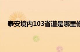 泰安境内103省道是哪里修的（104国道泰安绕城西线）