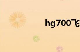 hg700飞轮（HG70）