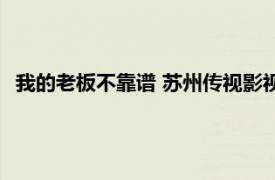 我的老板不靠谱 苏州传视影视传媒股份有限公司出品的电视剧