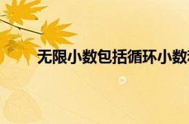 无限小数包括循环小数和不循环小数（无限小数）