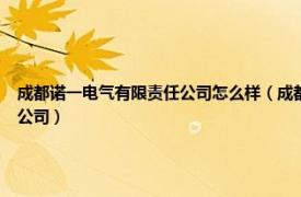 成都诺一电气有限责任公司怎么样（成都诺一电气有限责任公司 成都诺一电气有限责任公司）