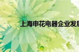 上海申花电器企业发展有限公司XQB90-5155