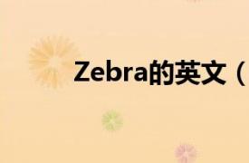 Zebra的英文（zebra 英文单词）