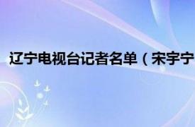 辽宁电视台记者名单（宋宇宁 辽宁广播电视集团 台 主任记者）