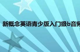 新概念英语青少版入门级b音频（新概念英语青少版：入门级B）