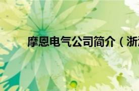 摩恩电气公司简介（浙江摩恩电气有限责任公司）