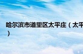 哈尔滨市道里区太平庄（太平镇 黑龙江省哈尔滨市道里区太平镇）