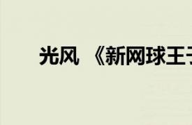 光风 《新网球王子》不二周助的技能