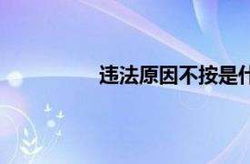 违法原因不按是什么意思（违法原因）