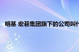 明基 宏碁集团旗下的公司叫什么（明基 宏碁集团旗下的公司）