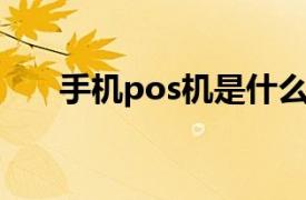 手机pos机是什么意思（手机POS机）