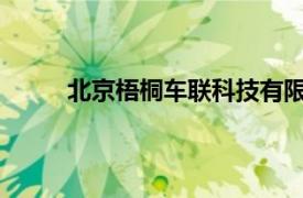 北京梧桐车联科技有限责任公司重庆分公司股票