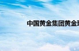 中国黄金集团黄金珠宝股份有限公司金价