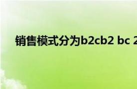 销售模式分为b2cb2 bc 2bc2c等形式是按照什么划分