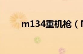 m134重机枪（M134迷你炮机枪）