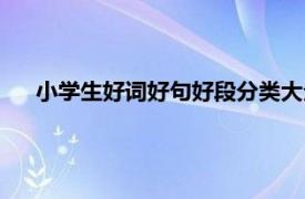 小学生好词好句好段分类大全（优秀小学生好词好句好段）