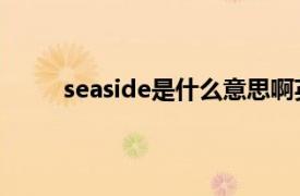 seaside是什么意思啊英语（seaside 英文单词）