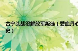 古宁头战役解放军叛徒（碧血丹心——古宁头战役60周年参战官兵口述历史）