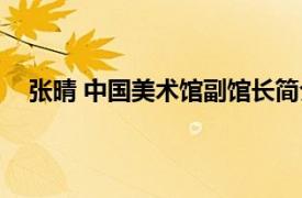 张晴 中国美术馆副馆长简介（张晴 中国美术馆副馆长）