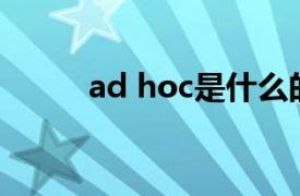 ad hoc是什么的简称（Ad hoc）