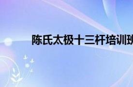 陈氏太极十三杆培训班费用（陈氏太极十三杆）