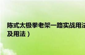 陈式太极拳老架一路实战用法（陈式太极拳新架一路意气势练习及用法）