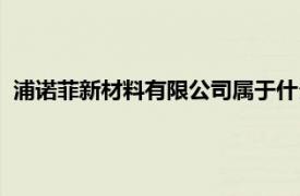 浦诺菲新材料有限公司属于什么性质（浦诺菲新材料有限公司）