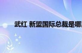 武红 新盟国际总裁是哪里人（武红 新盟国际总裁）