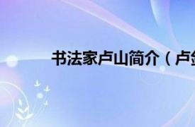 书法家卢山简介（卢剑 中国书法家协会会员）